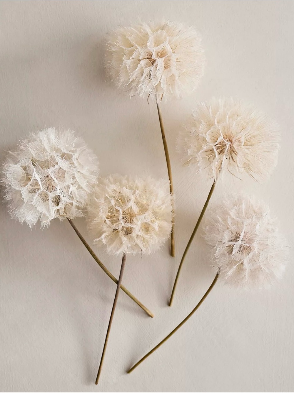 NEW Anthropologie x Terrain Crafted Botanical Dandelion Stems, Set of 5, Lilac